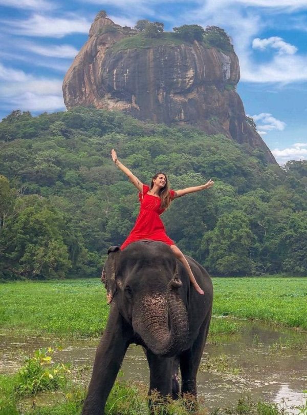 visit sri lanka 2024 😍🌿 spend your vacation with…