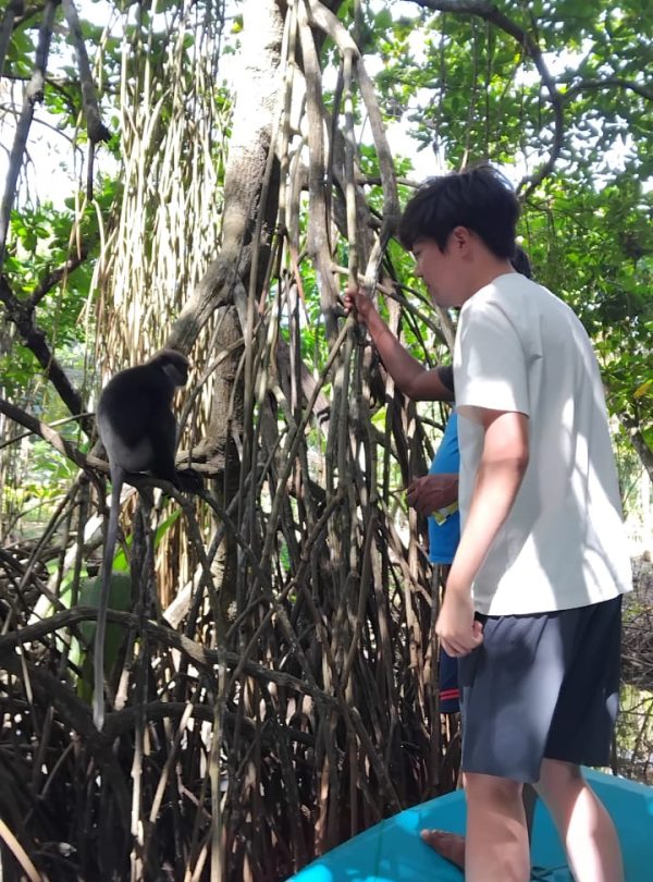 Home whatsapp image 2026 03 29 at 15.49.39 (1)