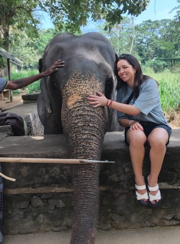 Home whatsapp image 2026 03 29 at 15.49.42