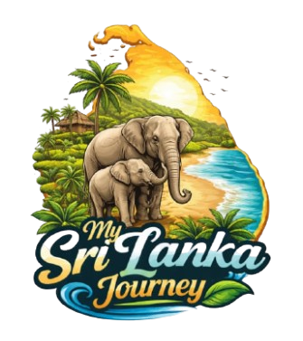 whatsapp image 2026 03 20 at 06.50.12 1 removebg preview